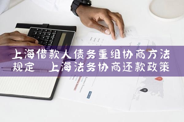 上海借款人债务重组协商方法规定