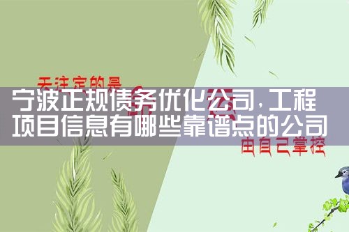 ����ծ���Ż��������������