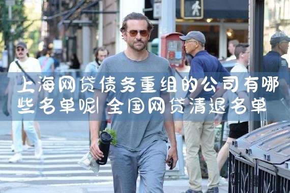 上海拍拍贷债务优化重组公告公示