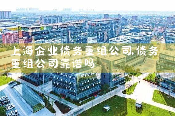 上海企业债务重组公司