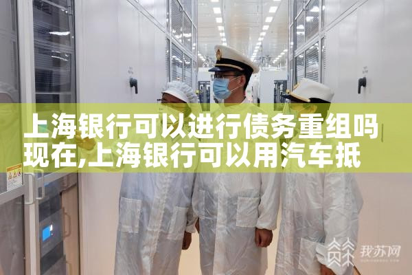 上海企业债务重组案件查询