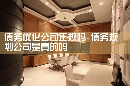 ծ���Ż���˾������