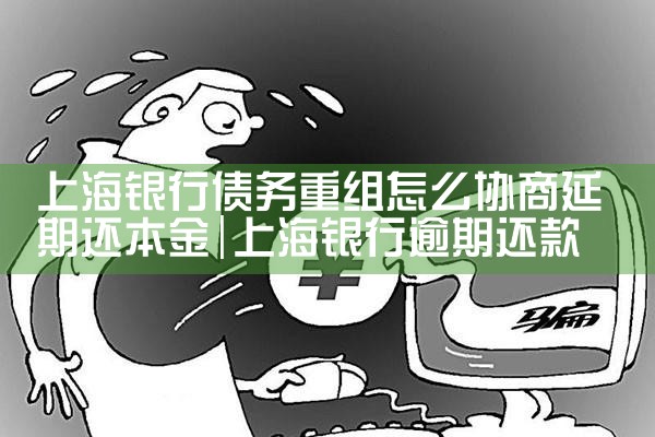 �Ϻ�����ծ�����鷽ʽ����Щ