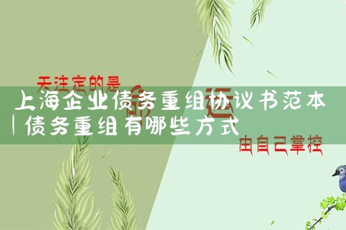 上海私人债务重组案件