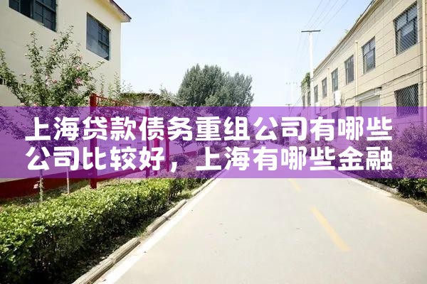 上海贷款债务重组公司有哪些公司比较好