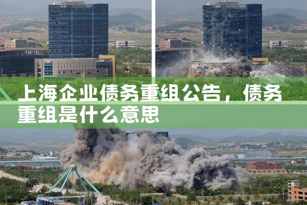 上海私人债务重组处理方式