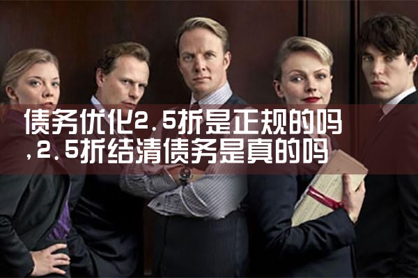 �������ծ���Ż����ļ����湫˾�����