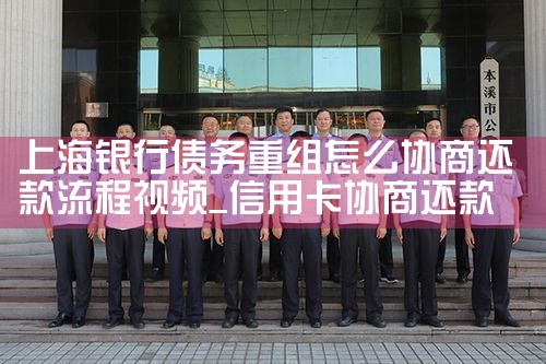 �Ϻ�����ծ��������ôЭ�̻���������Ƶ