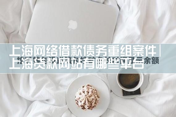 上海网络借款债务重组案件
