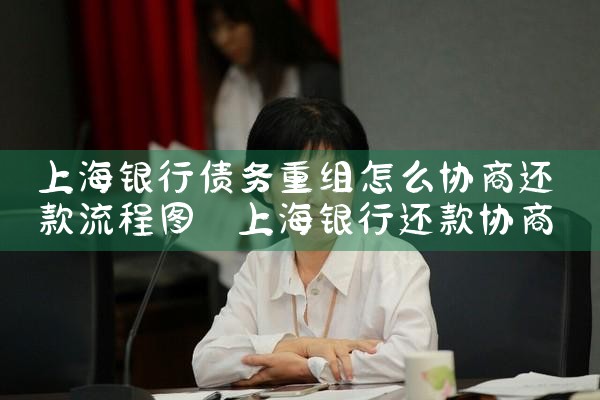 �Ϻ�����ծ��������ôЭ�̻�������ͼ