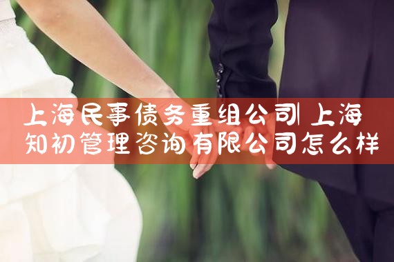 �Ϻ�˽��ծ�����鰸��