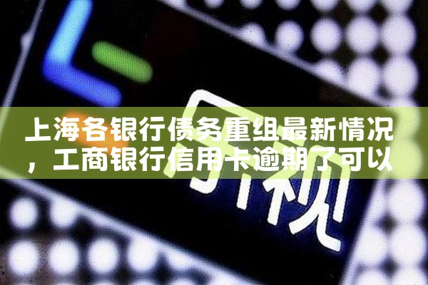 �Ϻ�������ծ�������������