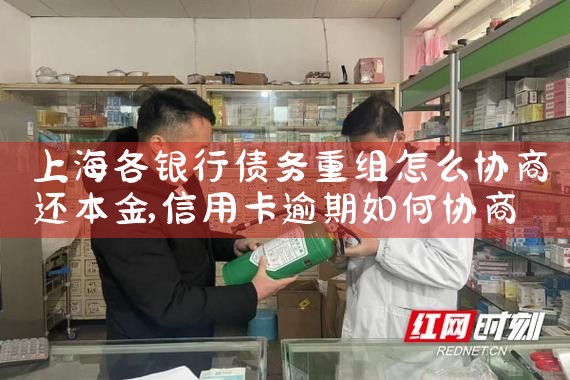 上海各银行债务重组怎么协商还本金