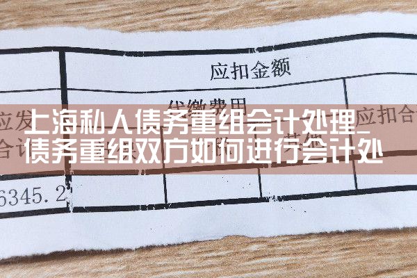 上海网贷债务重组的公司名称是