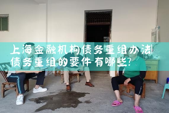 �Ϻ����ڻ���ծ������취