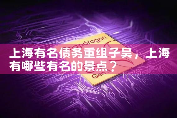 上海金融机构债务重组律师