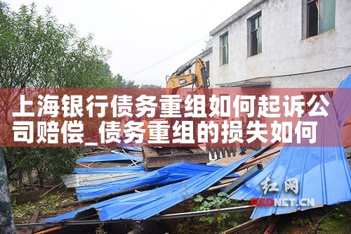 上海银行债务重组如何起诉公司赔偿