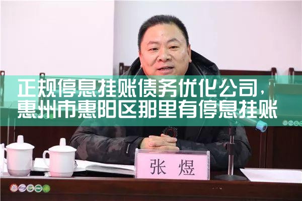 正规停息挂账债务优化公司