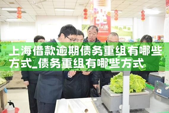 �Ϻ���ҵծ������Э��ģ��