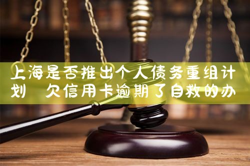 �Ϻ��Ƿ��Ƴ�����ծ������ƻ�