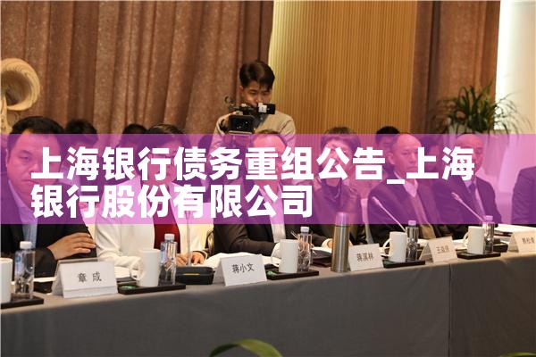 上海银行债务重组案件