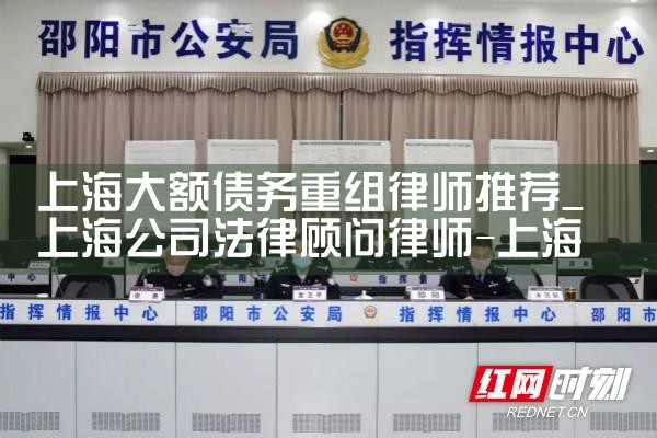 上海金融机构债务重组