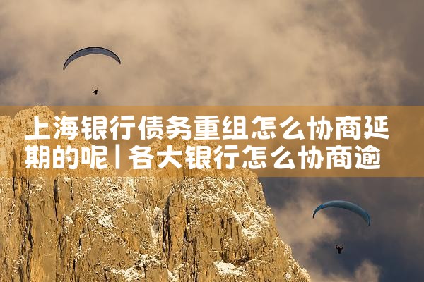 上海银行债务重组怎么协商延期的呢