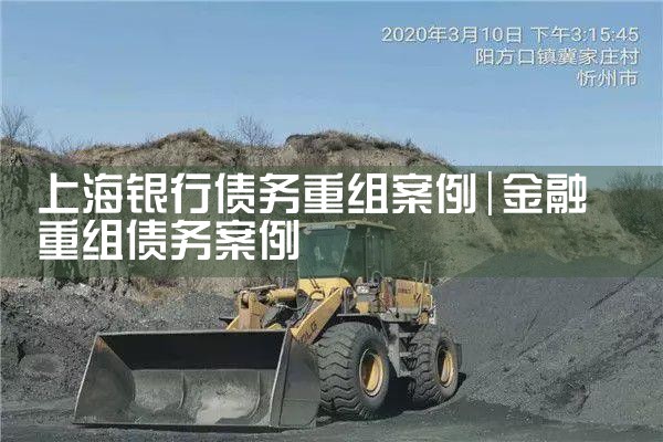 上海银行债务重组案例