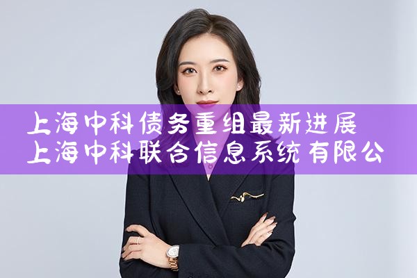 上海专业债务重组案例剖析