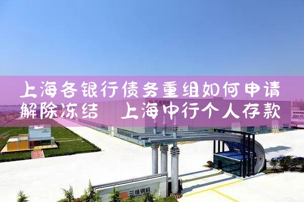 �Ϻ����ծ�����鴦����ʽ