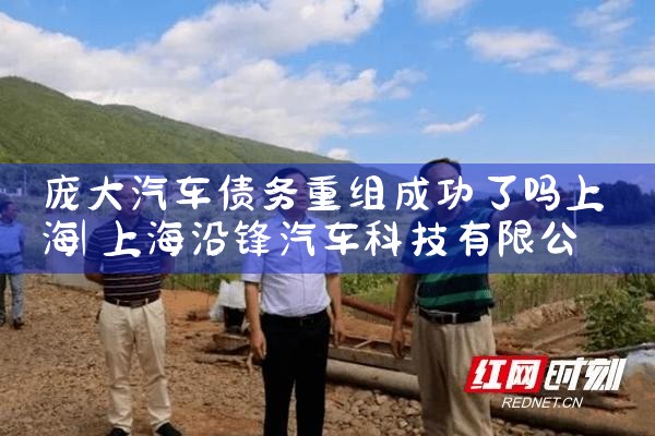 上海东兴置业债务重组始末是什么