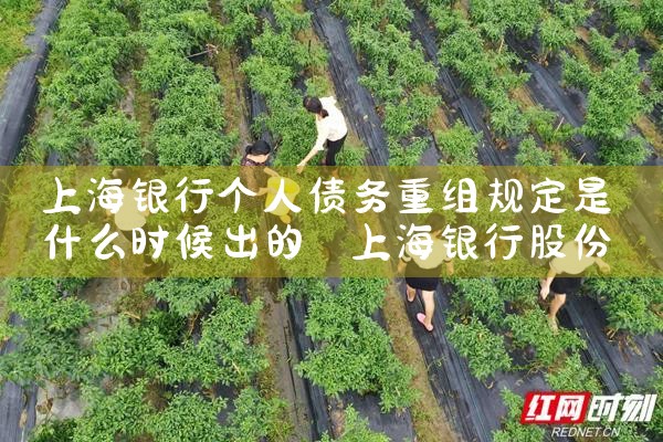 上海银行债务重组方式有几种